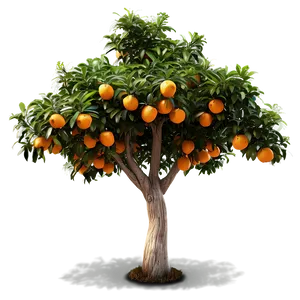 Orange Tree Garden PNG 06132024