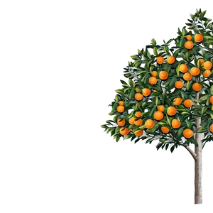 Orange Tree Garden PNG Ofn51 PNG