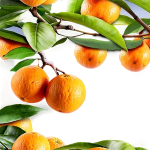 Orange Tree Orchard Png 06132024 PNG image