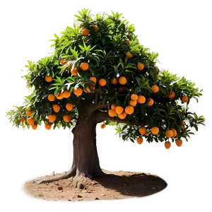 Orange Tree Silhouette Png 94 PNG image