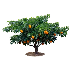 Orange Tree Sunrise PNG 10 PNG