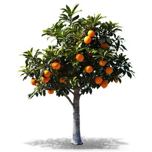 Orange Tree Sunrise PNG 2 PNG