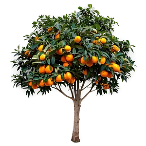 Orange Tree Sunset PNG 06132024