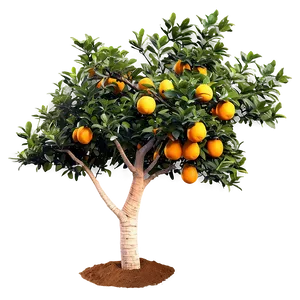 Orange Tree Sunset PNG Yue