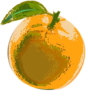 Orange Vector Art Illustration PNG image