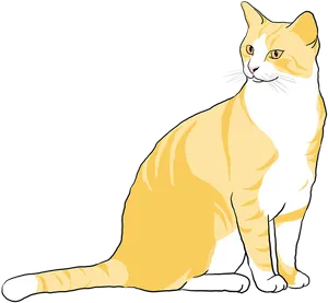 Orange White Cat Illustration.png PNG image