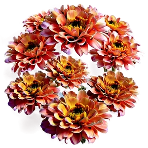 Orange Zinnia Joy PNG Gsm PNG