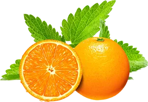 Orangeand Mint Freshness PNG image