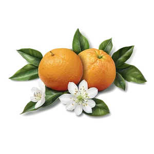 Oranges And Blossoms Png Cel PNG image