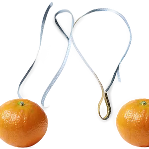 Oranges And Peel Png Tey27 PNG image