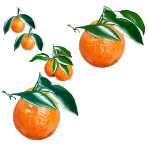 Oranges Art Png Gtn2 PNG image