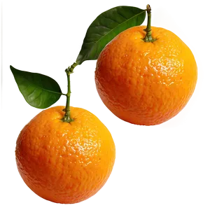 Oranges B PNG