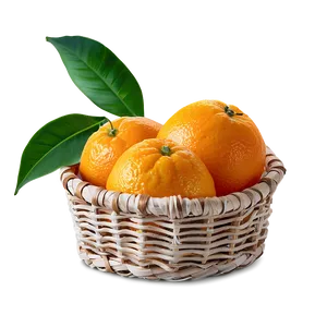 Oranges Basket PNG Bbp51 PNG