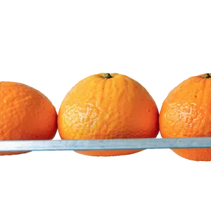 Oranges Close-up Png 06112024 PNG image