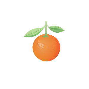 Oranges Illustration PNG 53 PNG