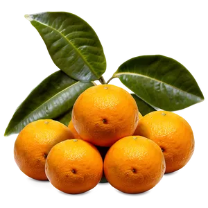 Oranges In Nature PNG 06112024