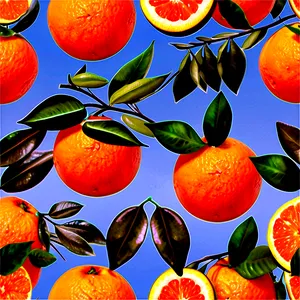 Oranges In Nature PNG Eya PNG