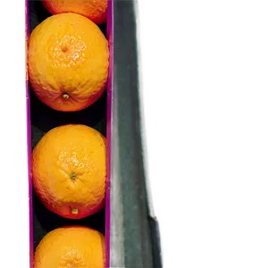 Oranges In Sunlight PNG Pts PNG