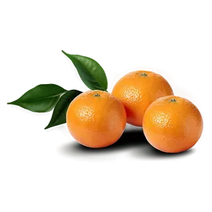 Oranges On White Background PNG 24 PNG
