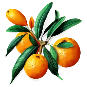 Oranges Pattern PNG 06112024 PNG