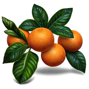 Oranges Realistic PNG 3 PNG