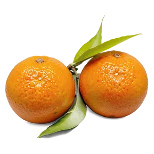 Oranges Top View PNG 17 PNG