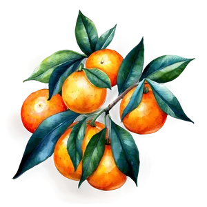 Oranges Watercolor PNG Qhi16 PNG
