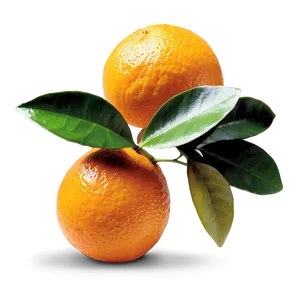 Oranges With Leaves Png 06112024 PNG image