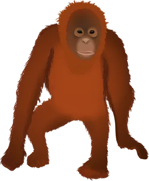 Orangutan Illustration PNG image