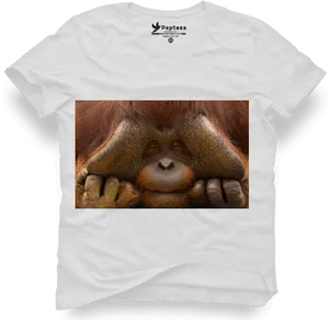Orangutan Printed T Shirt Design PNG image