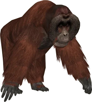 Orangutan Standing Transparent Background PNG image