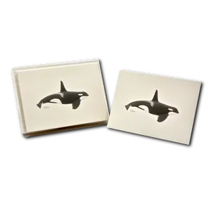 Orca Coasters Set PNG image