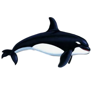 Orca Duo PNG Nmr76 PNG