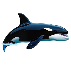 Orca Encounter PNG Hpv