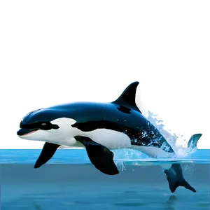 Orca Family PNG 05242024