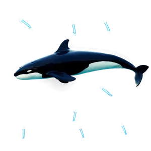 Orca Hunting PNG Ycc16 PNG