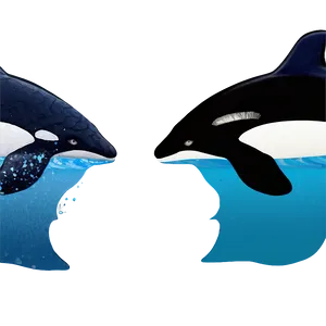 Orca In Aquamarine Sea PNG 8 PNG