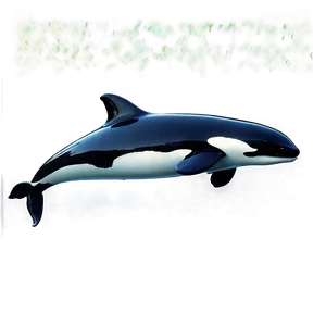 Orca In Crystal Waters PNG 05242024 PNG