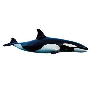 Orca In Crystal Waters PNG 49 PNG