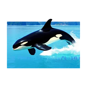 Orca In Crystal Waters PNG Rer PNG