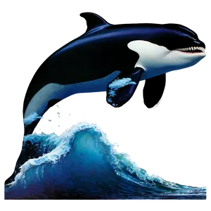 Orca In Moonlight PNG 8 PNG