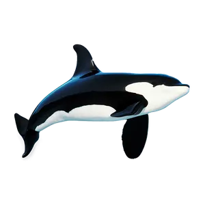 Orca In Ocean PNG 36 PNG