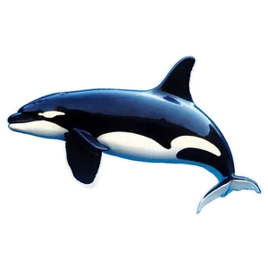 Orca In Sea PNG 97