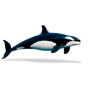 Orca In Sea PNG Abh13