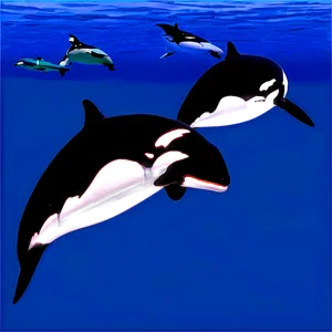 Orca Migration PNG 12