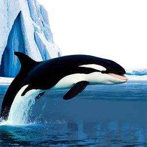 Orca Near Iceberg PNG 05242024 PNG