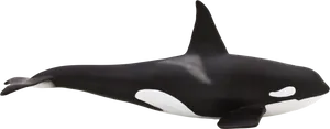 Orca Side Profile Transparent Background PNG image