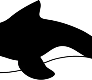 Orca Silhouette Graphic PNG image