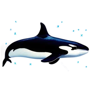 Orca Silhouette PNG Tqy