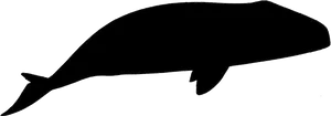 Orca Silhouette Profile